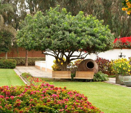 Hacienda Los Ficus