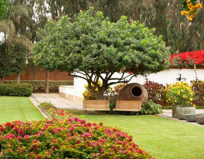 Hacienda Los Ficus