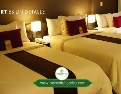 Palmetto Hoteles Business